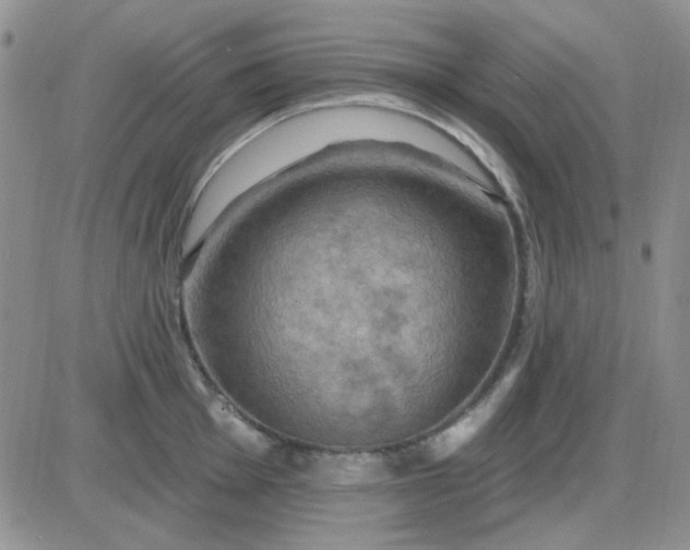 X0000085301001200703231853