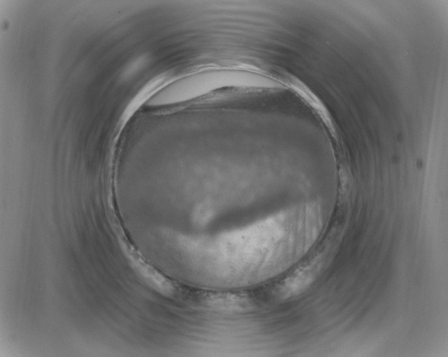 X0000085301002200703231853