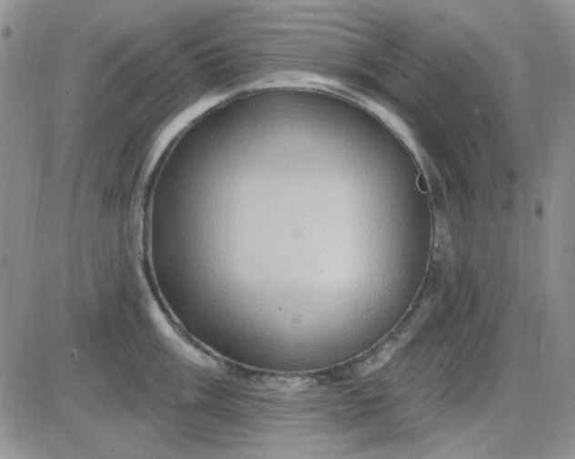 X0000085301003200703231853