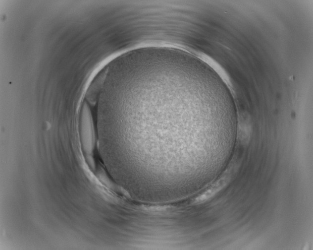 X0000085301004200703231853