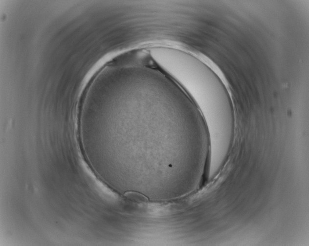 X0000085301005200703231853