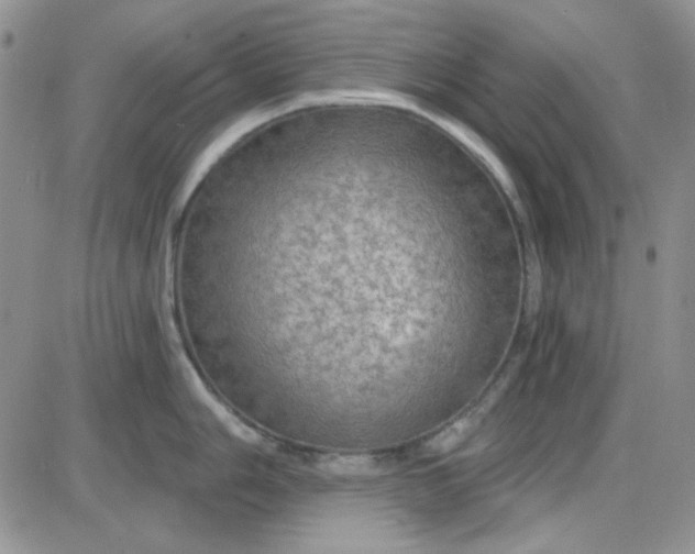 X0000085301006200703231853