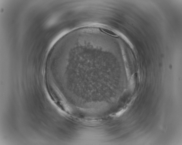 X0000085301007200703231853