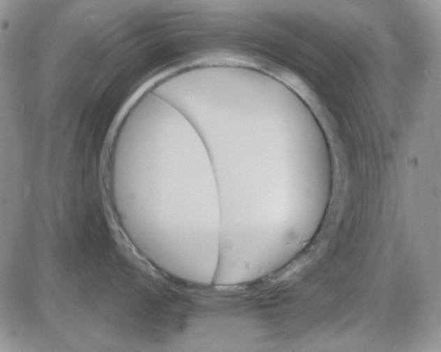 X0000085301008200703231853