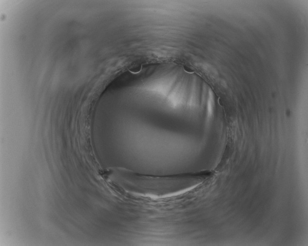 X0000085301009200703231852