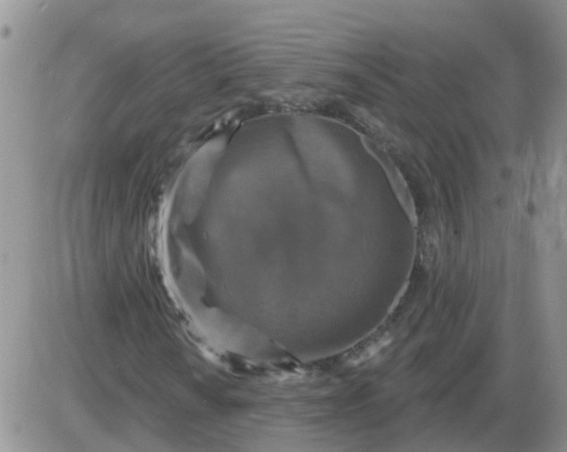 X0000085301010200703231852