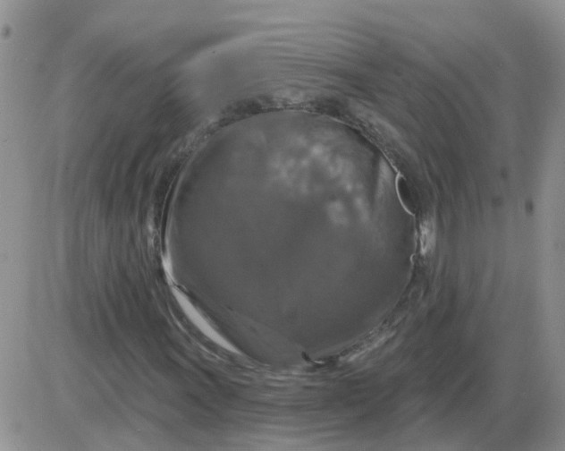 X0000085301011200703231852