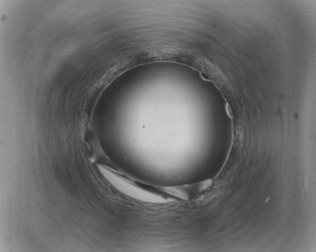 X0000085301012200703231853