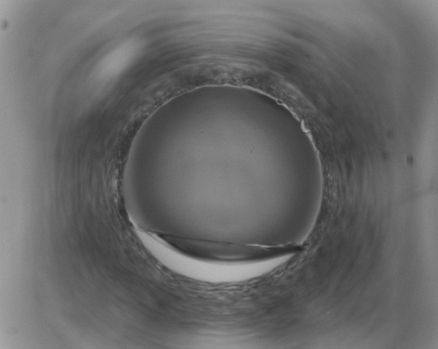 X0000085301013200703231853