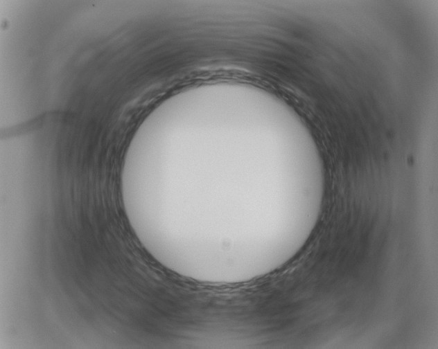 X0000085301014200703231853