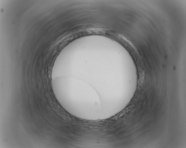 X0000085301015200703231853