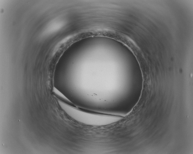 X0000085301016200703231853