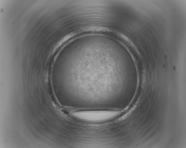 X0000085301017200703231853