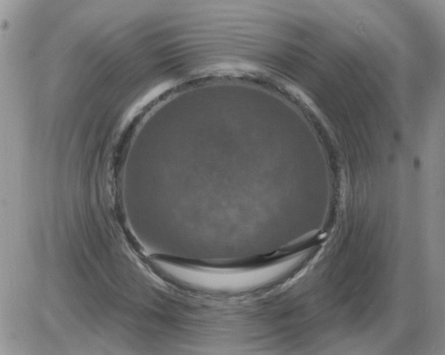 X0000085301018200703231853