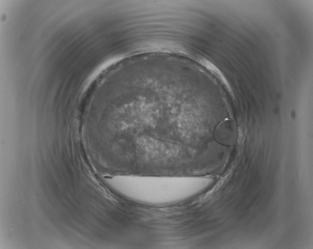 X0000085301019200703231853