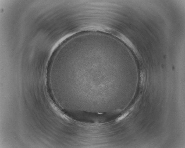 X0000085301020200703231853