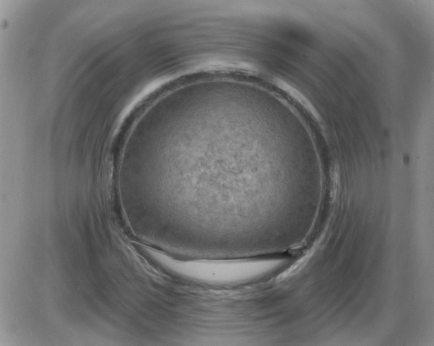 X0000085301021200703231853