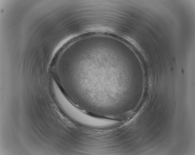 X0000085301022200703231853