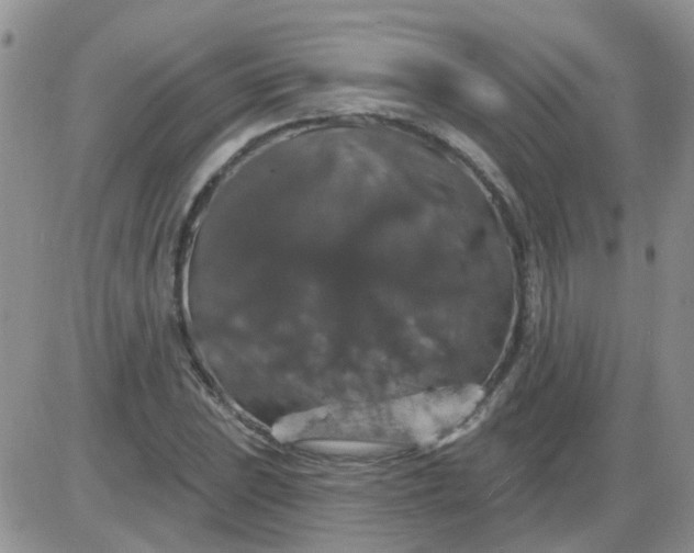 X0000085301023200703231853