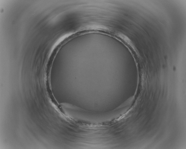 X0000085301024200703231853