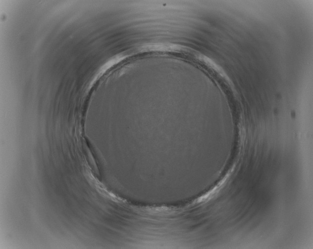 X0000085301025200703231853