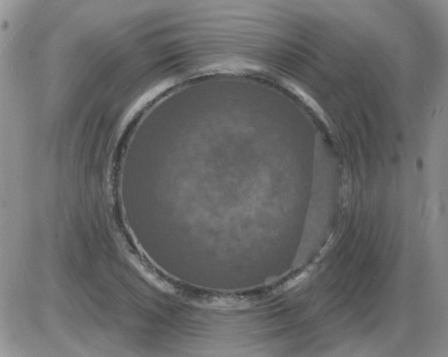 X0000085301026200703231853