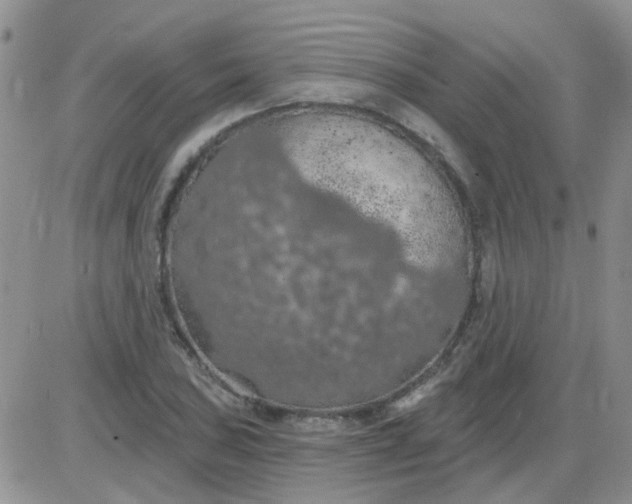 X0000085301027200703231853