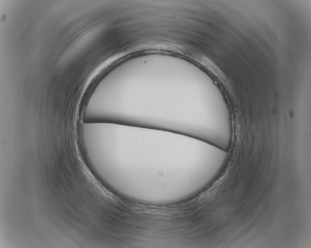 X0000085301028200703231853