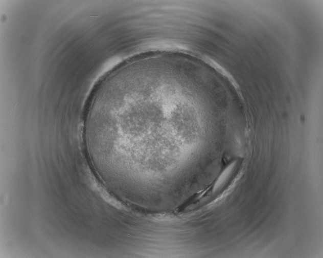 X0000085301029200703231853