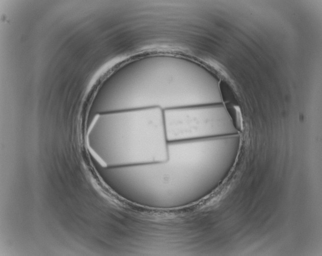 X0000085301030200703231853