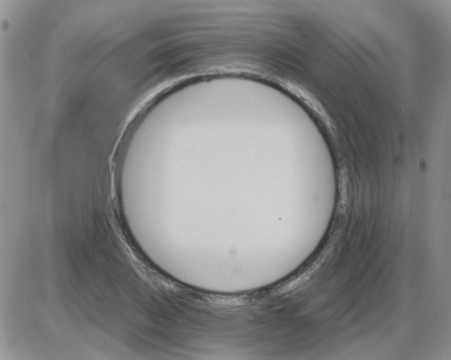 X0000085301031200703231853