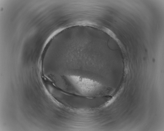 X0000085301032200703231853