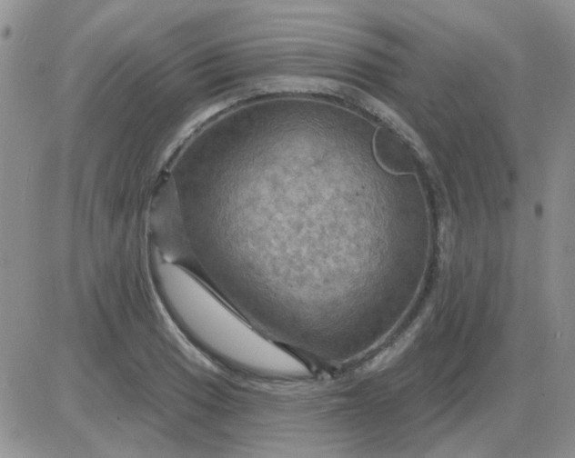 X0000085301033200703231853