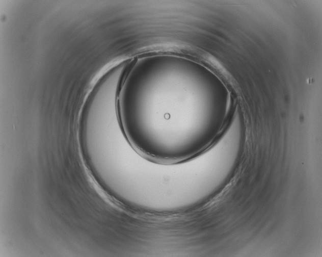 X0000085301034200703231853