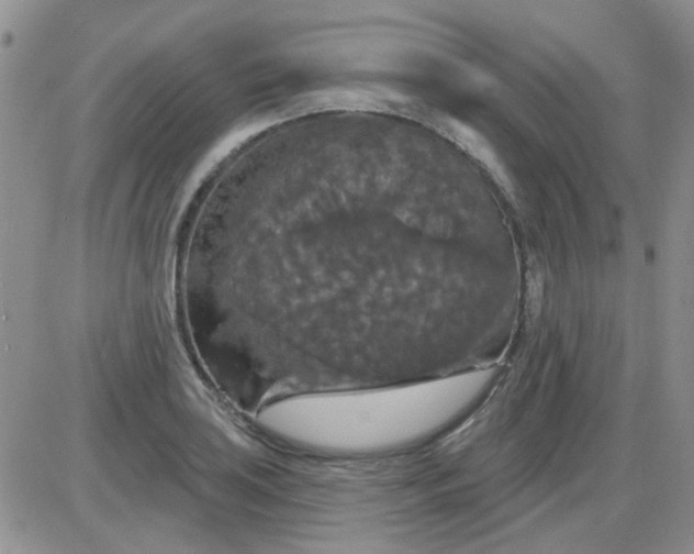 X0000085301035200703231853