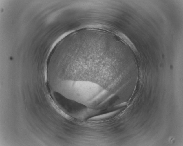 X0000085301036200703231853