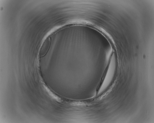 X0000085301037200703231853