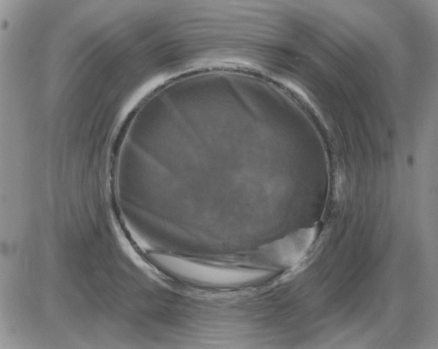 X0000085301038200703231853