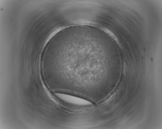 X0000085301039200703231853