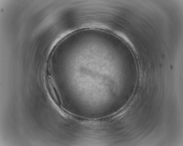 X0000085301040200703231853