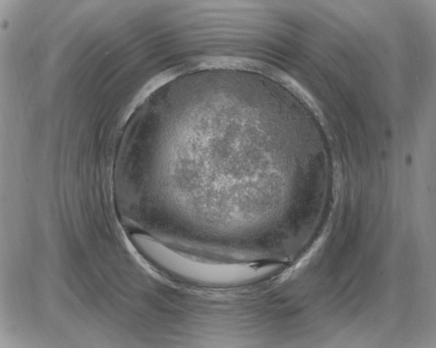 X0000085301041200703231853