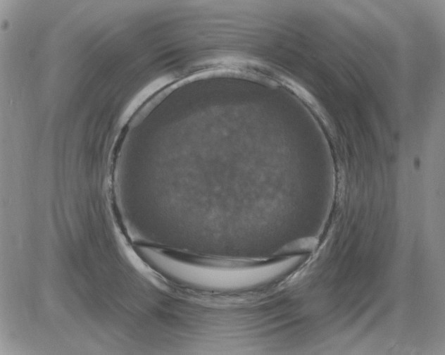 X0000085301042200703231853