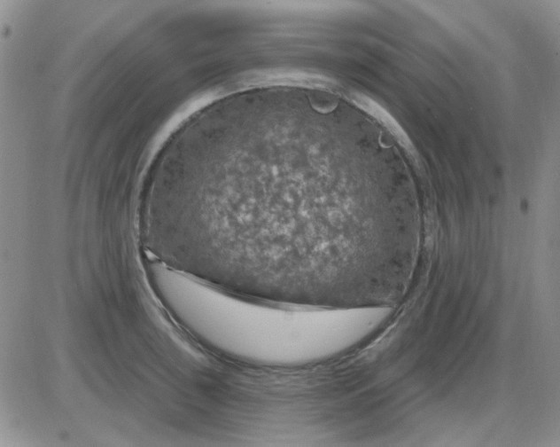 X0000085301043200703231853