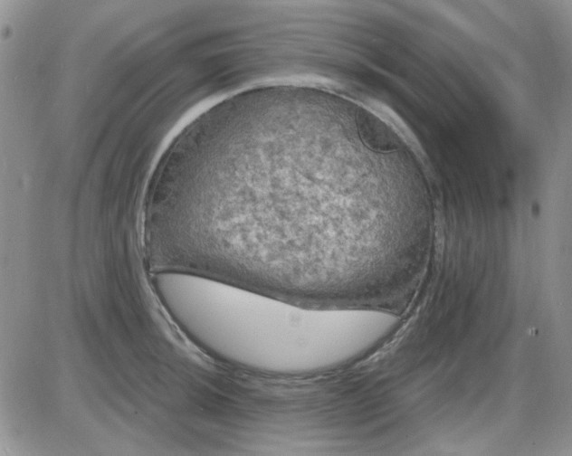 X0000085301044200703231853