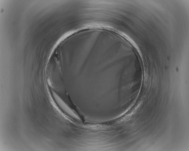 X0000085301045200703231853