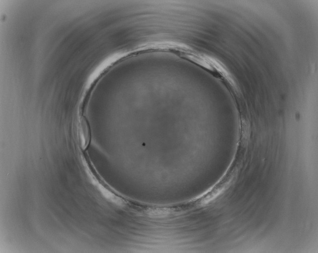 X0000085301046200703231853