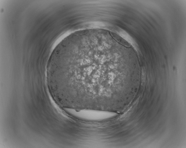 X0000085301047200703231853