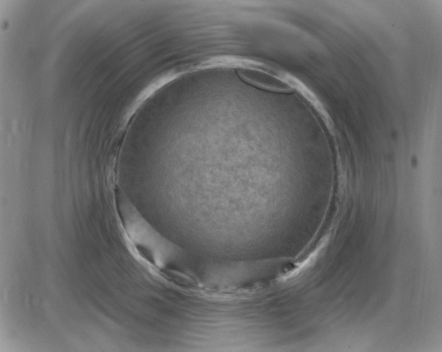 X0000085301049200703231853