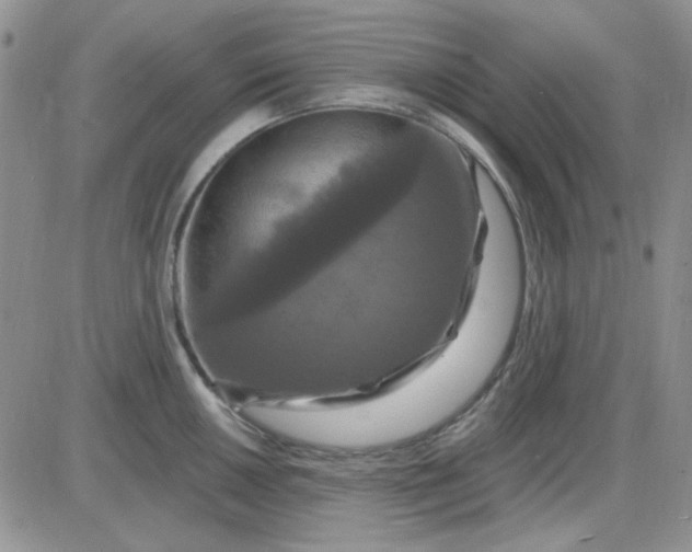 X0000085301050200703231853