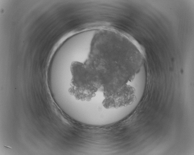 X0000085301051200703231853